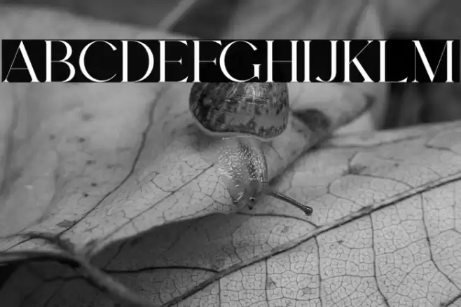 Sacred Valley Font examples