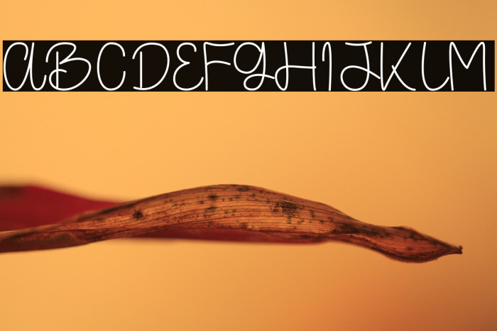 Sacrediane Example 1