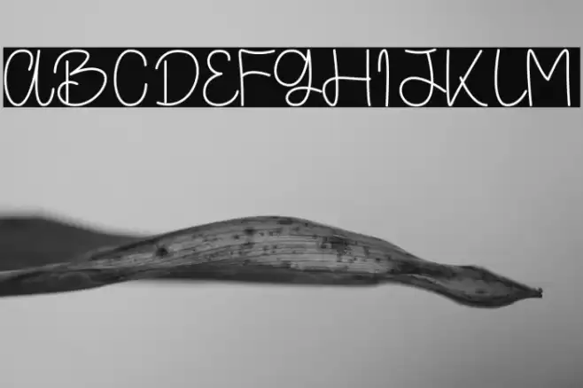 Sacrediane Font examples