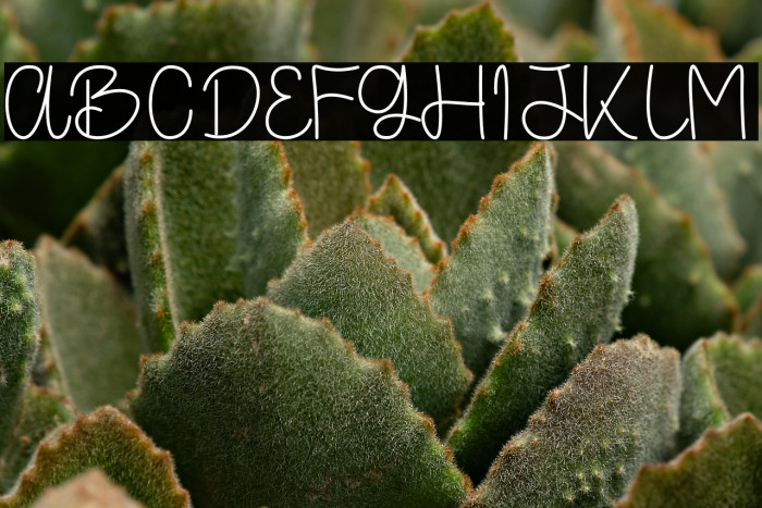 Sacrediane Example 3