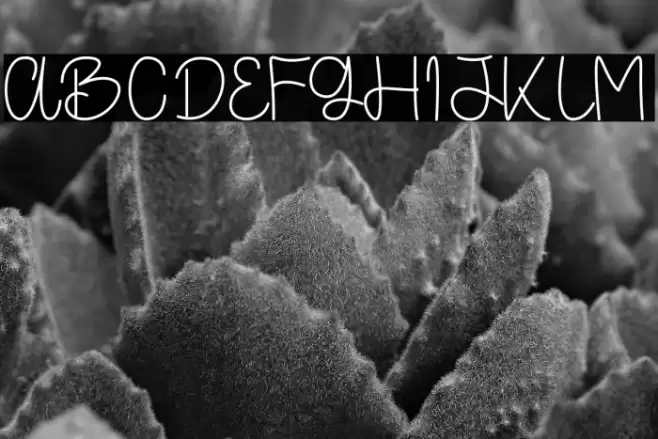 Sacrediane Font examples