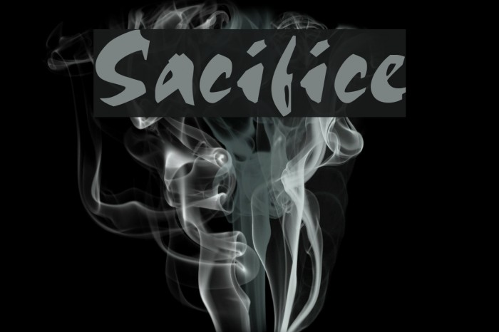 Sacrifice Polices examples