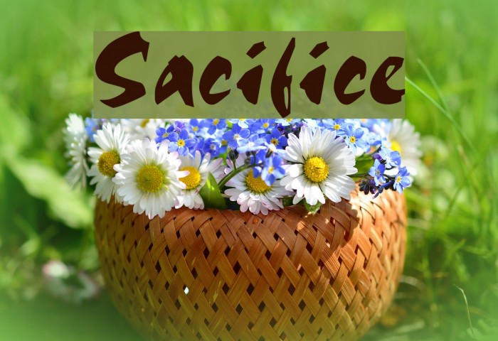 Sacrifice Polices examples