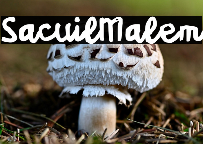 Sacuil Malem Example 3