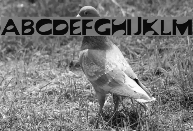 Sad Jane Font examples