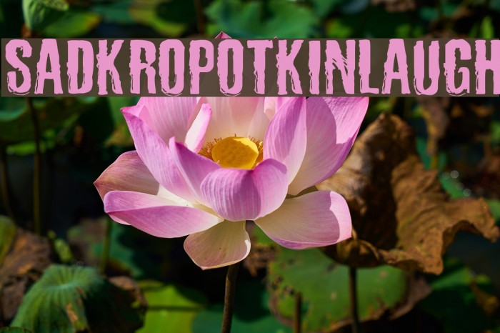 SadKropotkinLaugh Font examples