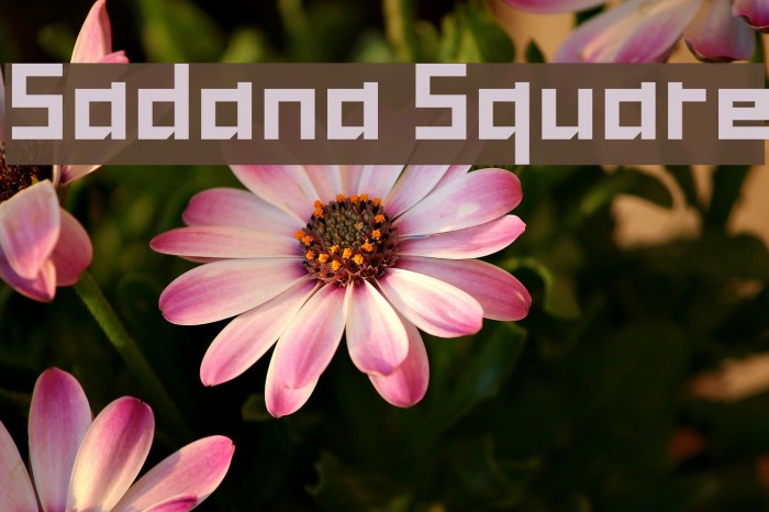 Sadana Square Font examples