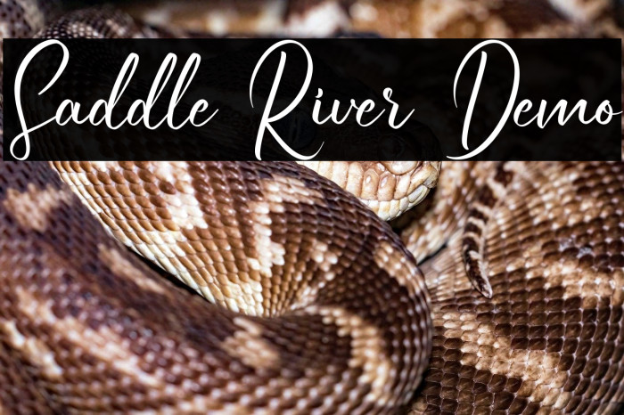 Saddle River Demo Example 1