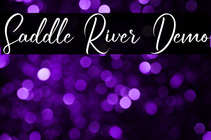 Saddle River Demo Example 2