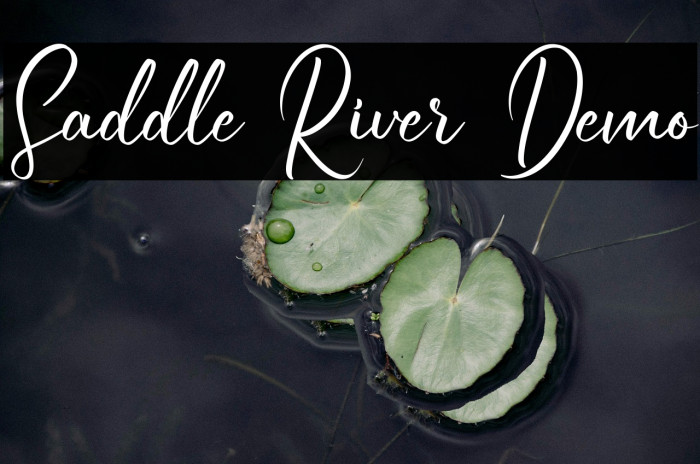 Saddle River Demo Example 3