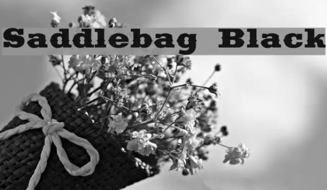 Saddlebag Black Font examples