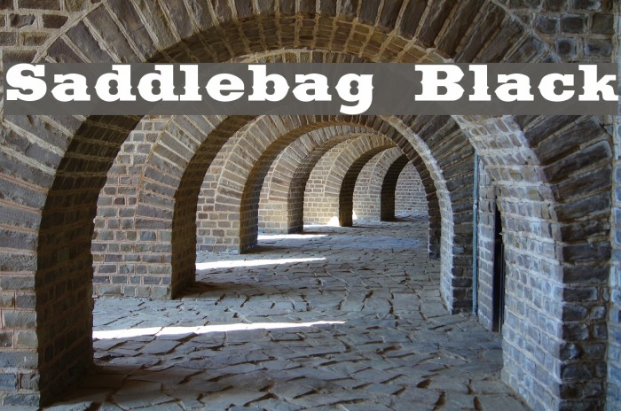 Saddlebag Black Шрифта examples