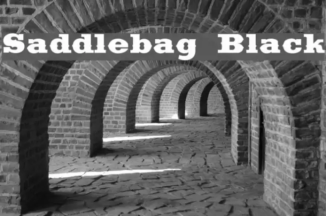 Saddlebag Black Font examples