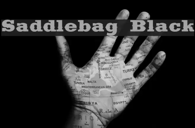 Saddlebag Black Font examples