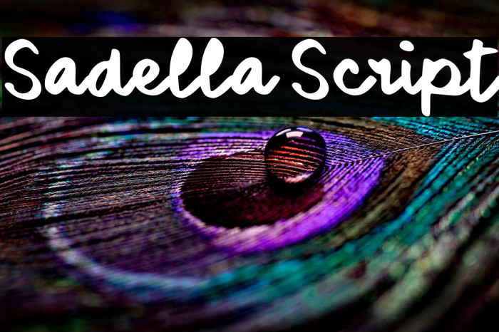 Sadella Script Example 2