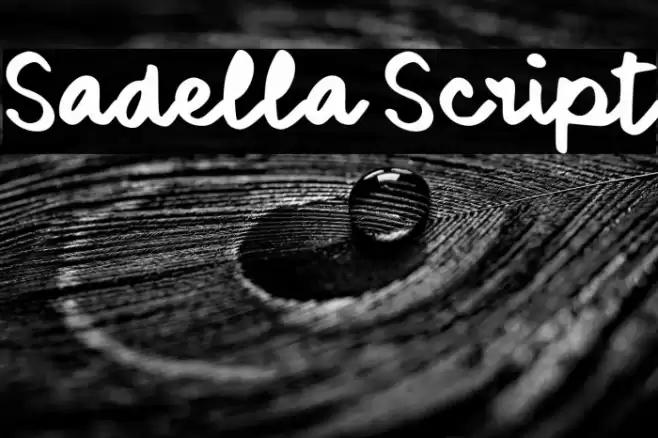 Sadella Script 字体 examples
