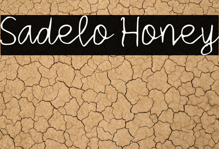 Sadelo Honey Example 2