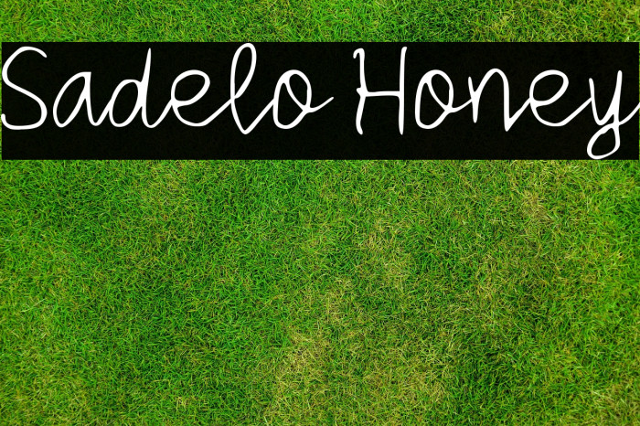Sadelo Honey Example 3