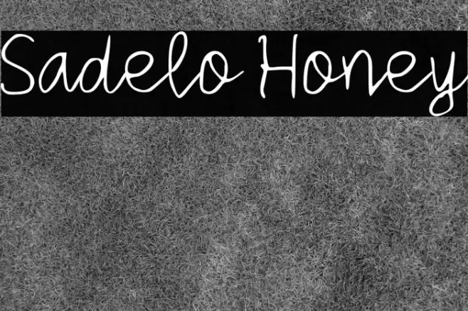 Sadelo Honey Шрифта examples