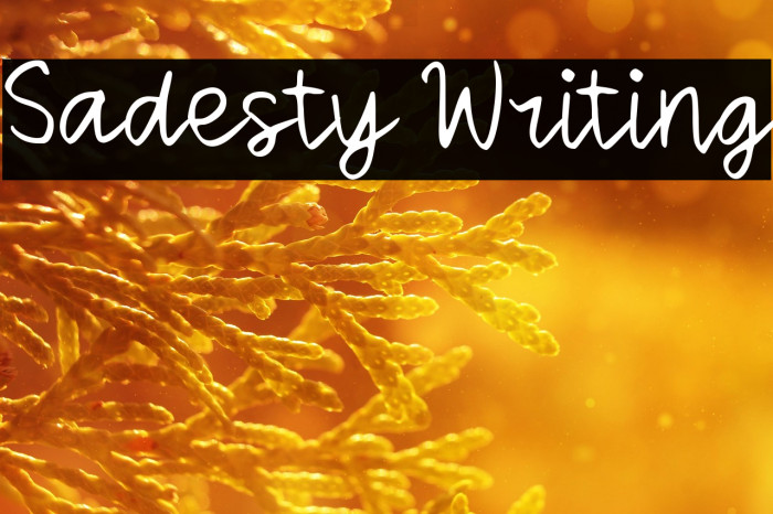 Sadesty Writing Example 1