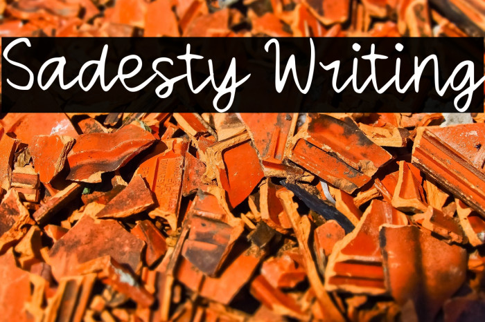 Sadesty Writing Example 3