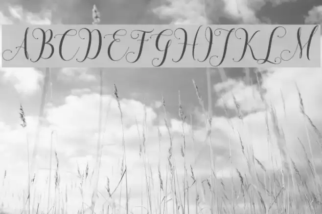 SadhiraDemo Font examples