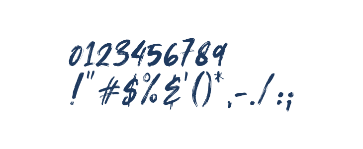 Sadhise Regular Other Characters