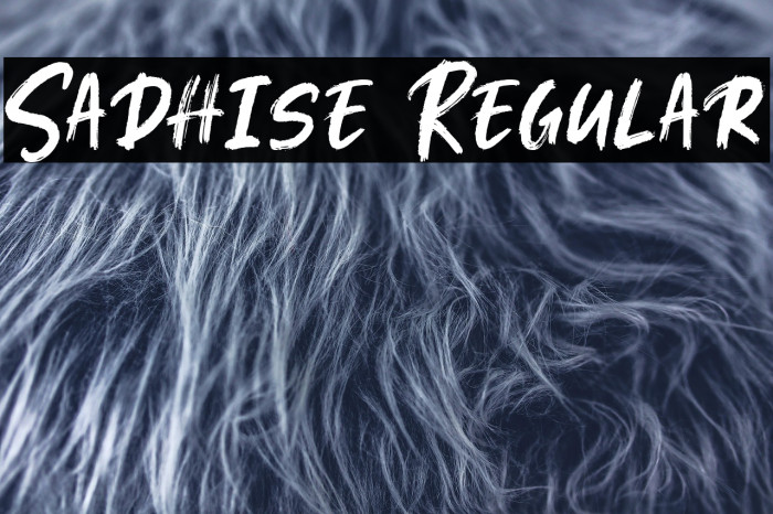 Sadhise Regular Example 1