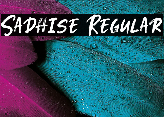 Sadhise Regular Example 2