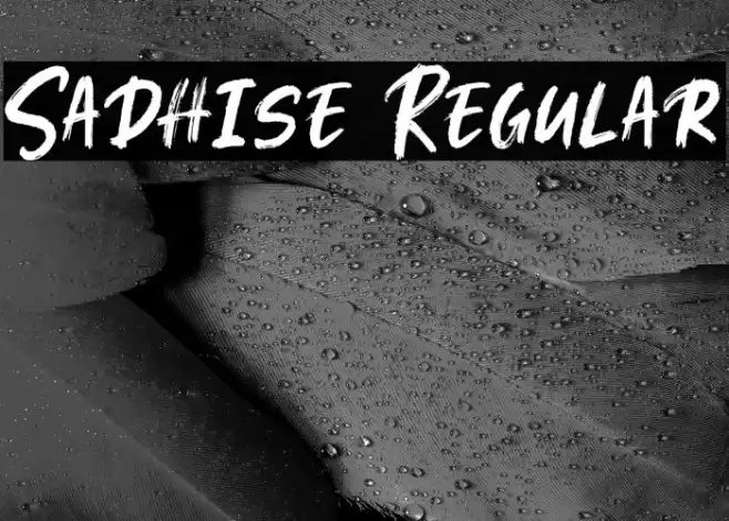 Sadhise Regular Font examples