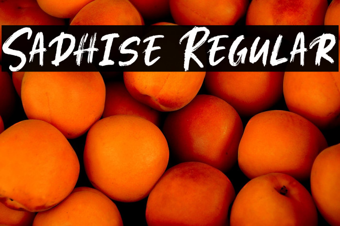 Sadhise Regular Example 3