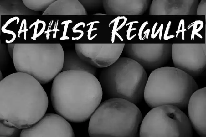 Sadhise Regular Font examples