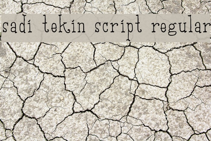 Sadi Tekin Script Regular Font examples