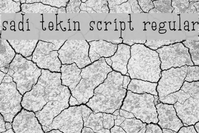 Sadi Tekin Script Regular Font examples