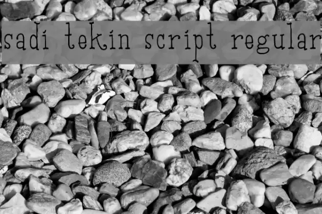 Sadi Tekin Script Regular Font examples