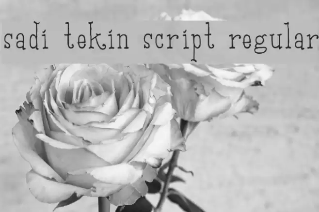Sadi Tekin Script Regular Font examples