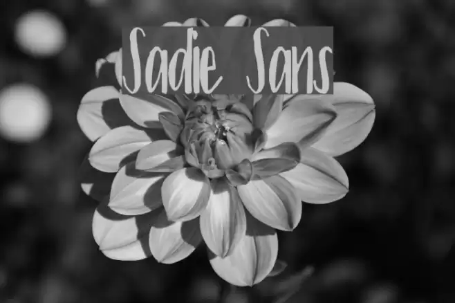 Sadie Sans Font examples