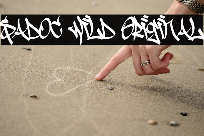 Sadoc Wild Original Example 2