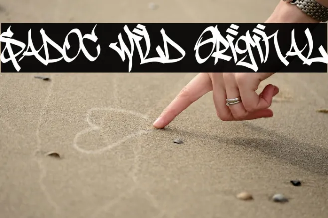 Sadoc Wild Original Example 2