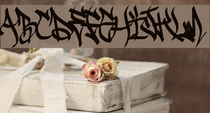 Sadoc Wild Font examples