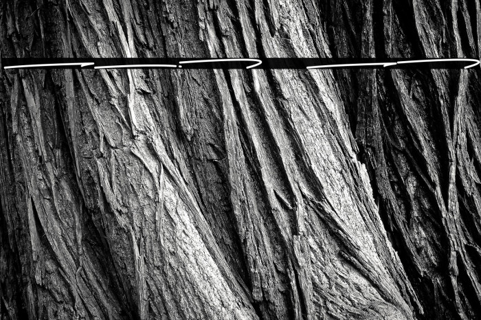 Sadwell Swashes Example 1