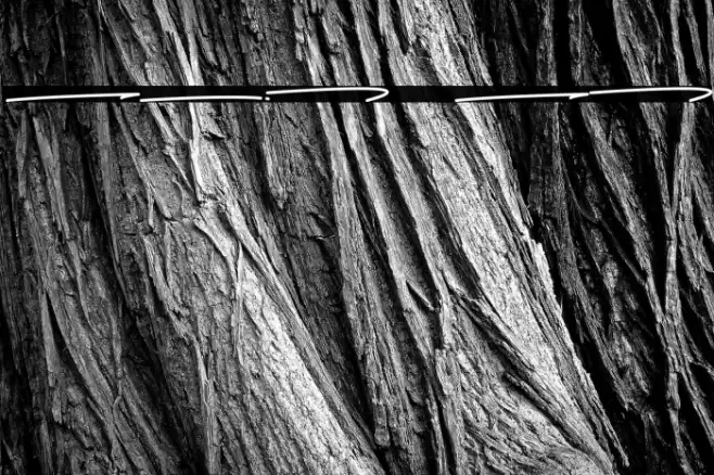 Sadwell Swashes Font examples