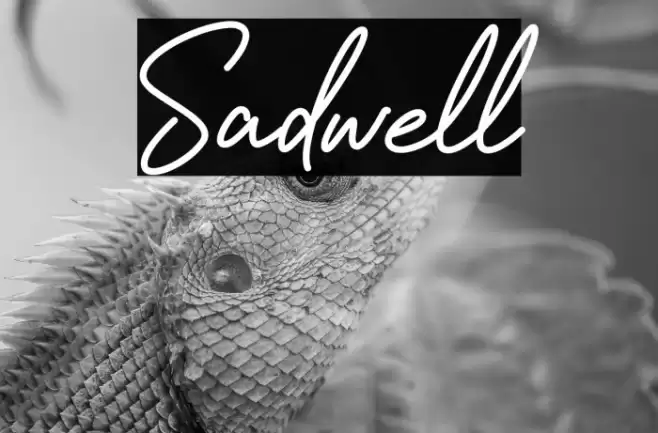 Sadwell Font examples