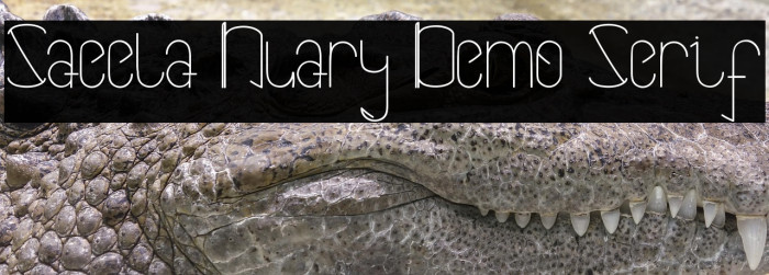 Saeela Nuary Demo Serif Example 1