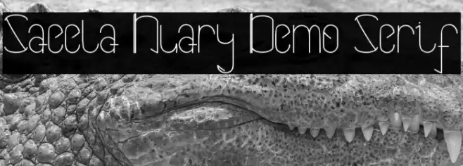 Saeela Nuary Demo Serif Font examples