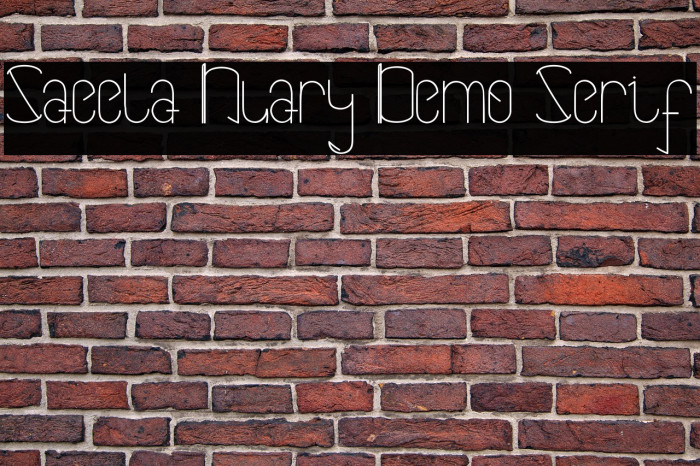 Saeela Nuary Demo Serif Example 2