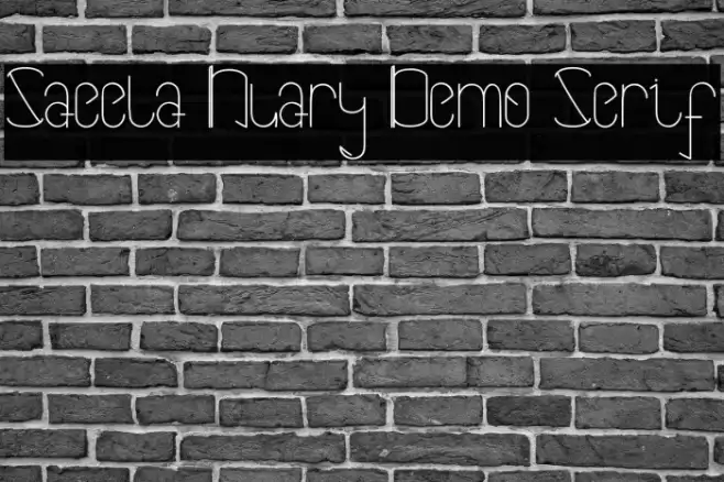 Saeela Nuary Demo Serif Font examples