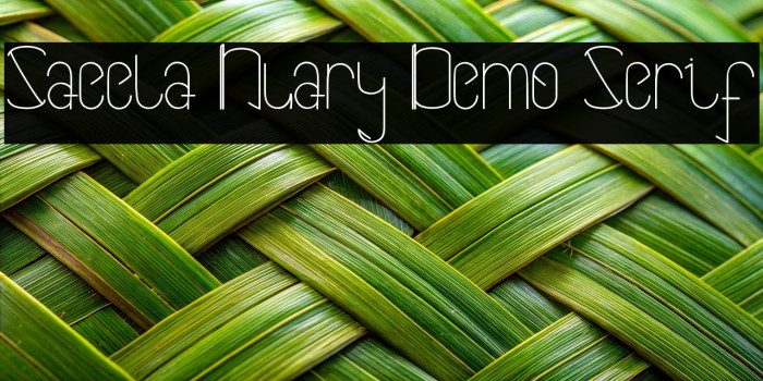 Saeela Nuary Demo Serif Example 3