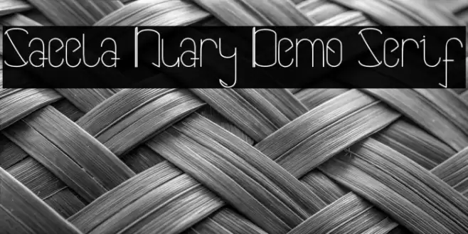 Saeela Nuary Demo Serif Font examples