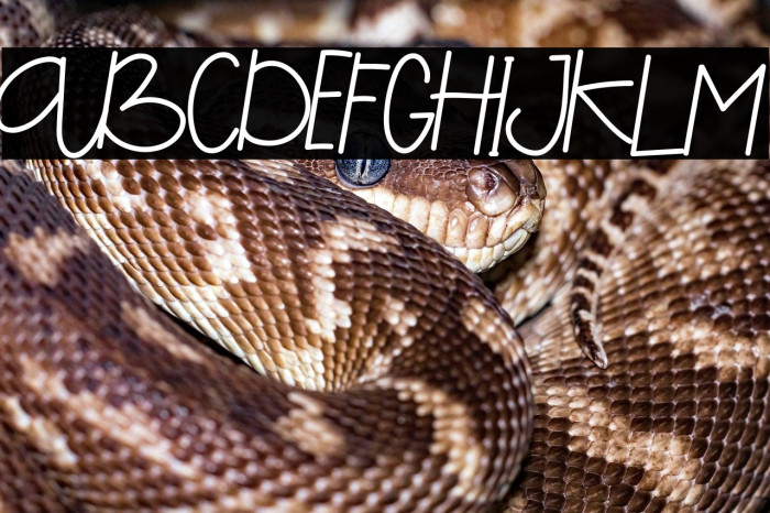 Saeela Nuary Demo Example 2